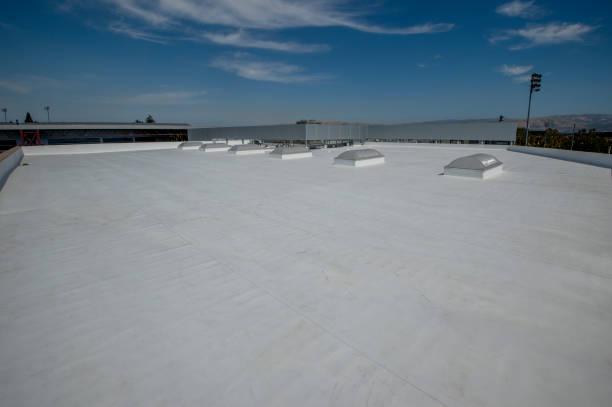 Best Roof Insulation Installation  in Ajo, AZ