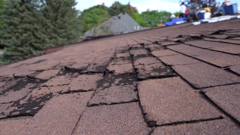 Best Wood Shake Roofing  in Ajo, AZ