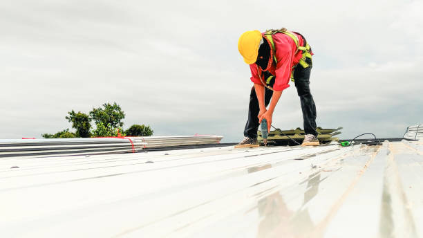 Best Sheet Metal Roofing  in Ajo, AZ